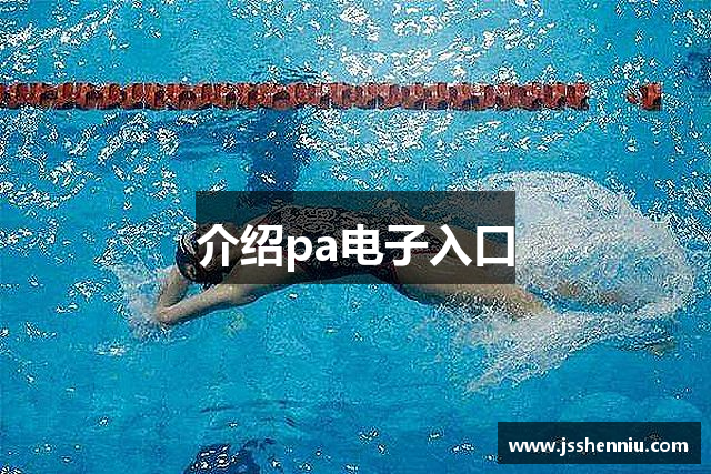 介绍pa电子入口
